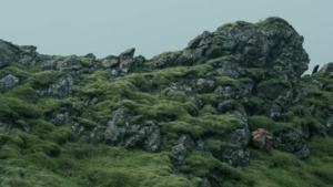 Death Stranding