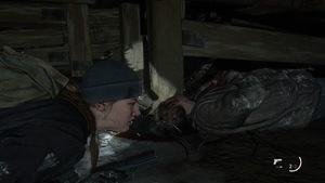 Last of Us 2