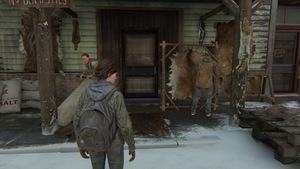 Last of Us 2