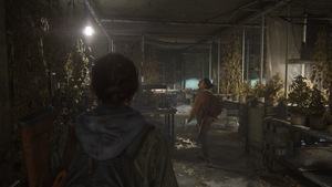 Last of Us 2