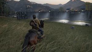 Last of Us 2