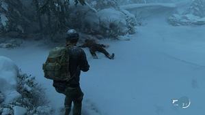 Last of Us 2