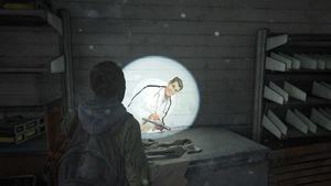 Last of Us 2