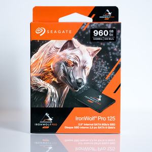 Seagate IronWolf Pro 125 