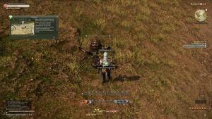 Final Fantasy XIV Angespielt