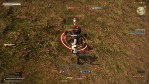 Final Fantasy XIV Angespielt