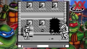 Teenage Mutant Ninja Turtles: The Cowabunga Collection