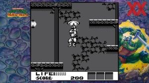 Teenage Mutant Ninja Turtles: The Cowabunga Collection