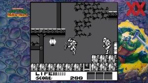 Teenage Mutant Ninja Turtles: The Cowabunga Collection