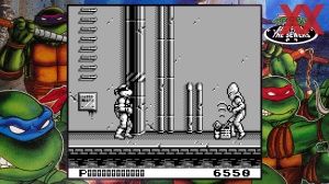 Teenage Mutant Ninja Turtles: The Cowabunga Collection