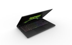 XMG FUSION 15 (M22)