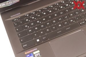 MSI Raider GE67 HX im Test