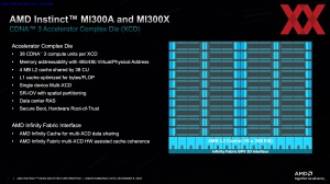 AMD Instinct-MI300-Familie