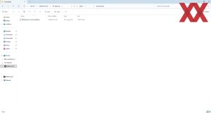 Synology BeeDrive 1 TB
