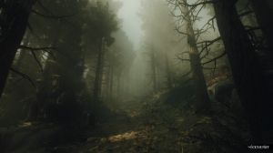 Quelle: https://store.steampowered.com/app/2092840/The_Occultist/