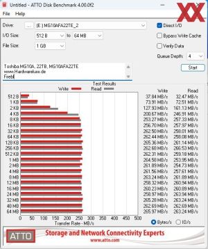 Toshiba MG10F 22 TB MG10AFA22TE Muster2