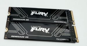 Kingston Fury Renegade G5