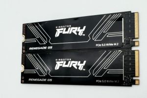 Kingston Fury Renegade G5