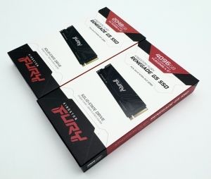 Kingston Fury Renegade G5