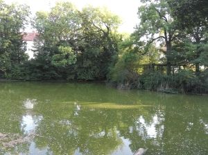 HUAWEI MatePad 11.5 2025