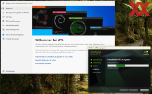 NVIDIA NIM & Blueprint