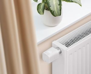 Zugehöriges Artikelbild