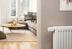 Zugehöriges Artikelbild