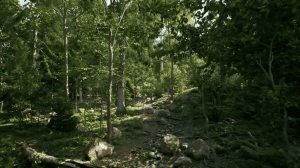 Epic Unreal Engine 5.7