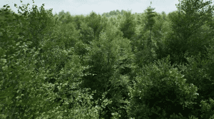 Epic Unreal Engine 5.7