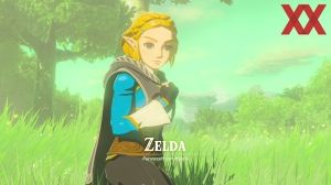 Hyrule Warriors: Chronik der Versiegelung