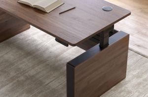 Vernal Executive Standing Desk