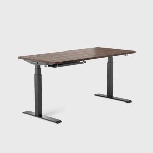 Vernal Standing Desk