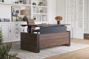 Vernal Executive Standing Desk