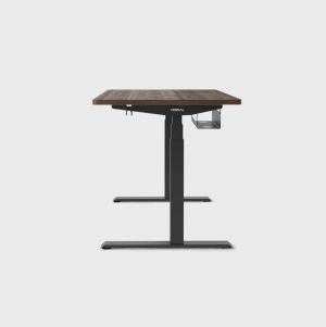 Vernal Standing Desk