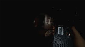 Quelle: https://store.steampowered.com/app/739630/Phasmophobia/