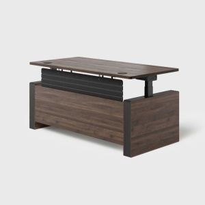 Vernal Executive Standing Desk