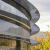 apple park