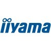 iiyama.jpg