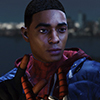 miles_100.jpg