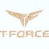 teamgroup_t-force_cardea_teaser_klein.jpg