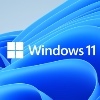 windows11