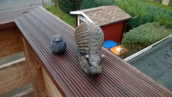 Nur bei guten Lichtverhältnissen stimmt die Bildqualität