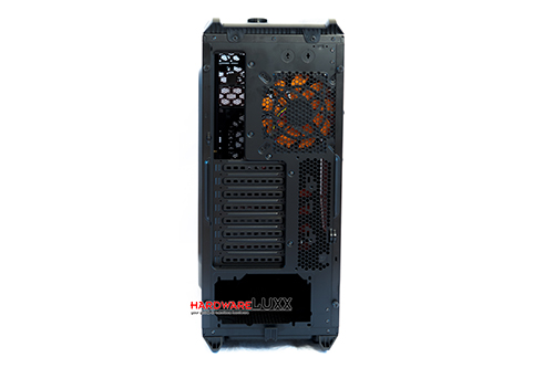 Cougar Evolution BO Review