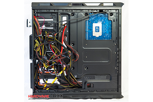 Cougar Evolution BO Review