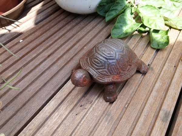 Gute Ergebnisse bei ausreichender Helligkeit