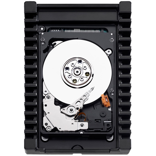 wd-velociraptor
