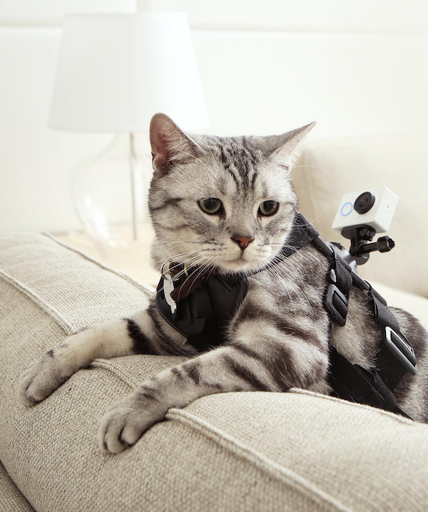 xiaomi yi action cam k