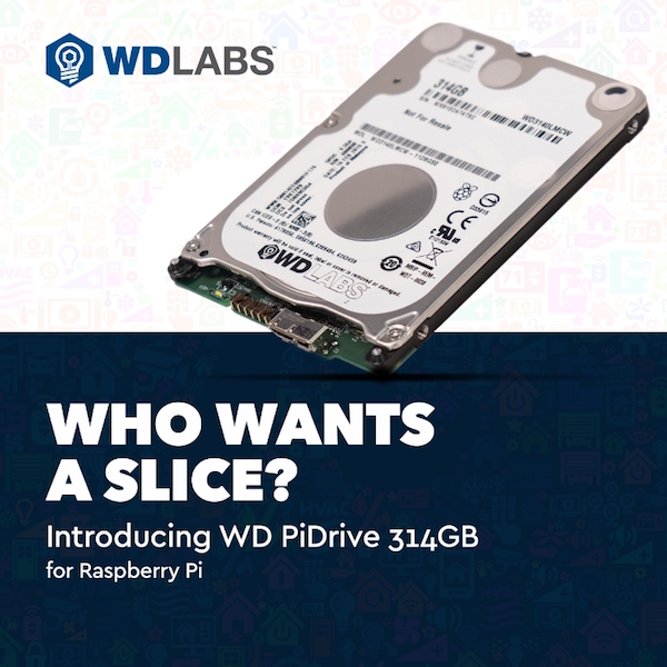 wd pidrive k