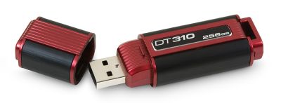 DT310_256GB_s
