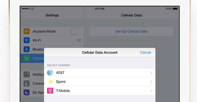 ipad esim usa